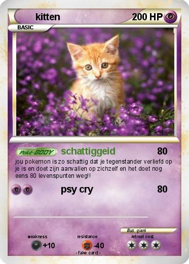 Pokemon kitten