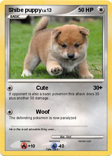 Pokemon Shibe puppy
