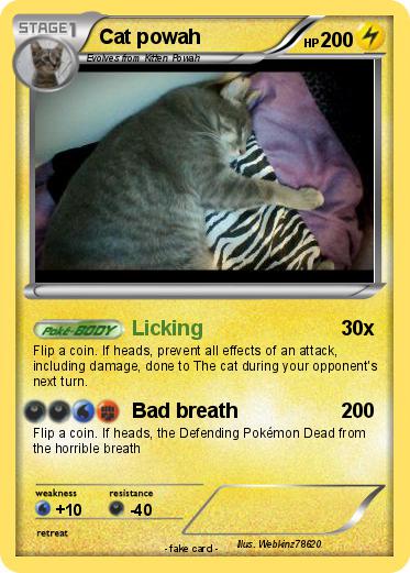 Pokemon Cat powah