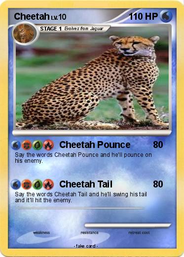 Pokemon Cheetah