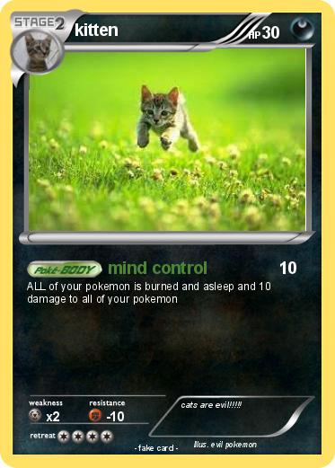 Pokemon kitten