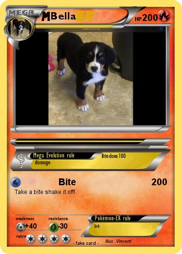 Pokemon Bella