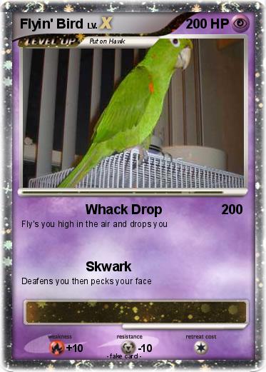 Pokemon Flyin' Bird