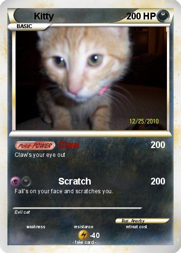Pokemon Kitty