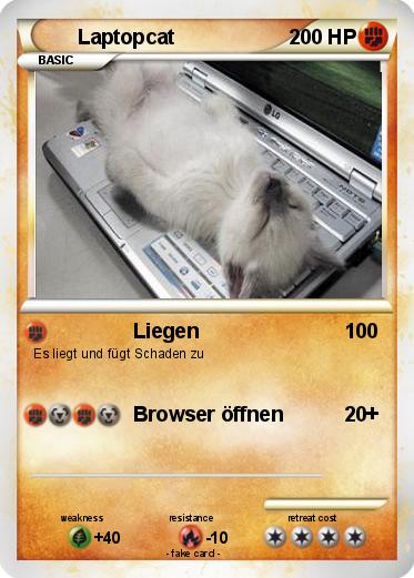 Pokemon Laptopcat