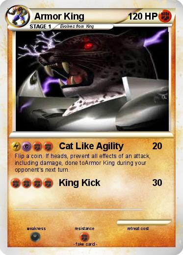 Pokemon Armor King