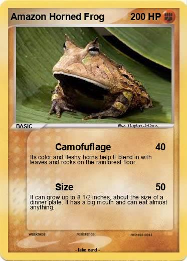 Pokemon Amazon Horned Frog