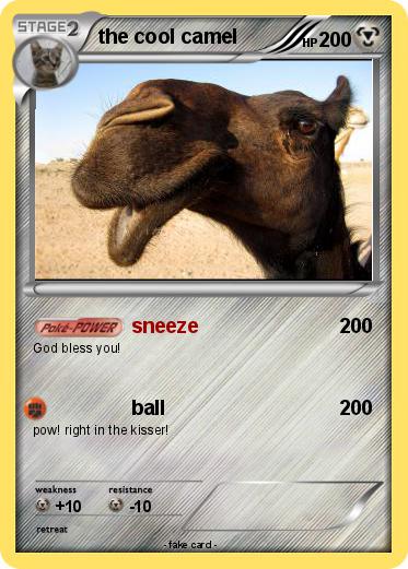 Pokemon the cool camel