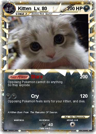 Pokemon Kitten  Lv. 80