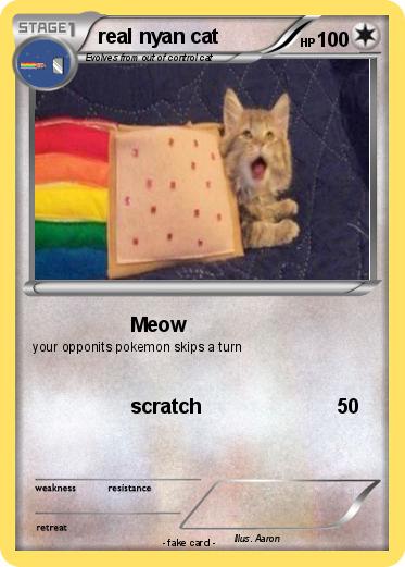 Pokemon real nyan cat