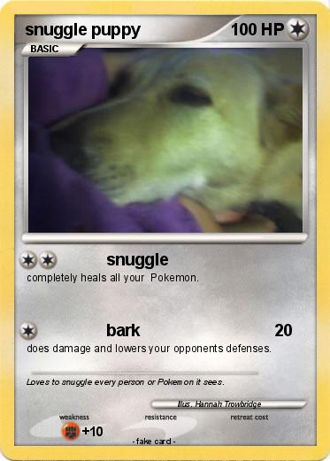 Pokemon snuggle puppy