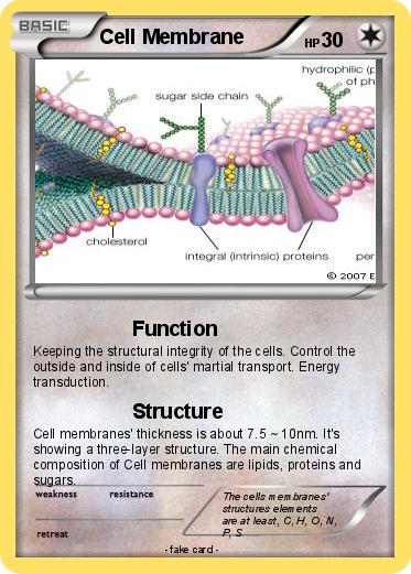 Pokemon Cell Membrane