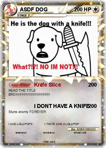 Pokemon ASDF DOG
