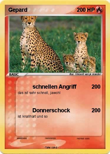 Pokemon Gepard