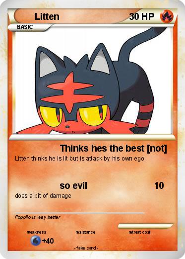 Pokemon Litten