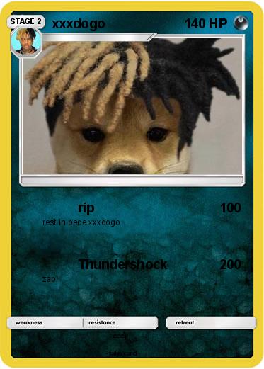 Pokemon xxxdogo