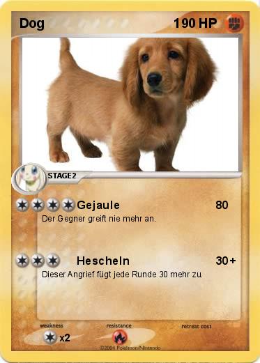 Pokemon Dog                                    1