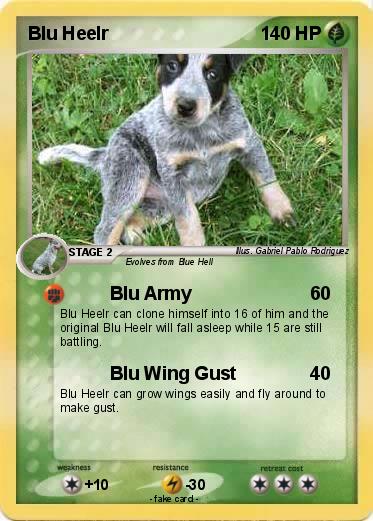Pokemon Blu Heelr