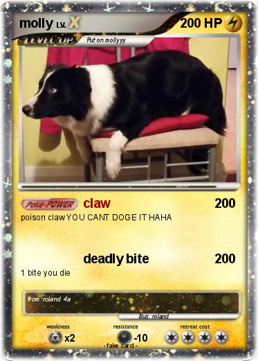 Pokemon molly