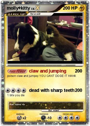 Pokemon molly+kitty