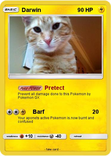 Pokemon Darwin
