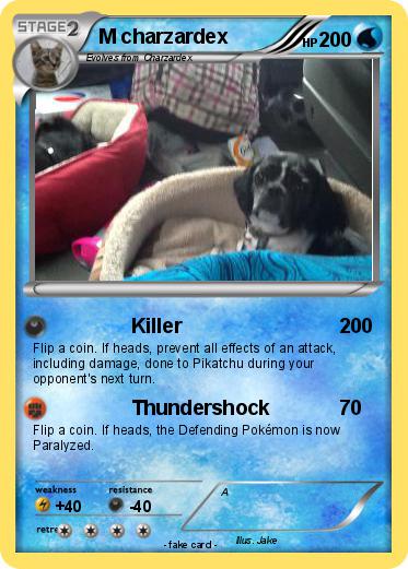 Pokemon M charzardex