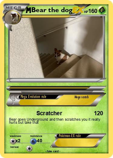 Pokemon Bear the dog