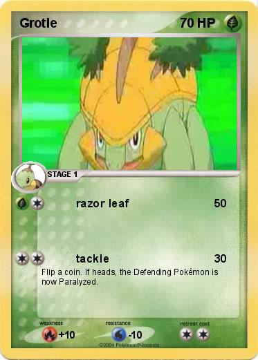 Pokemon Grotle