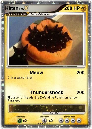 Pokemon Kitten