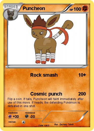 Pokemon Puncheon
