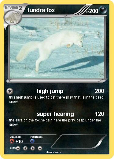 Pokemon tundra fox