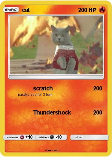 Pokemon cat