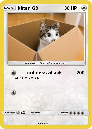 Pokemon kitten GX