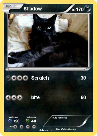 Pokemon Shadow