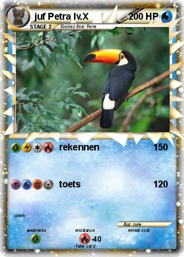 Pokemon juf Petra lv.X