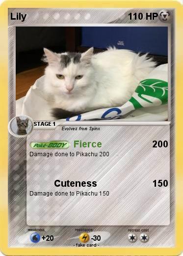 Pokemon Lily