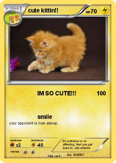 Pokemon cute kittin!!