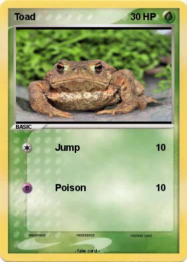 Pokemon Toad