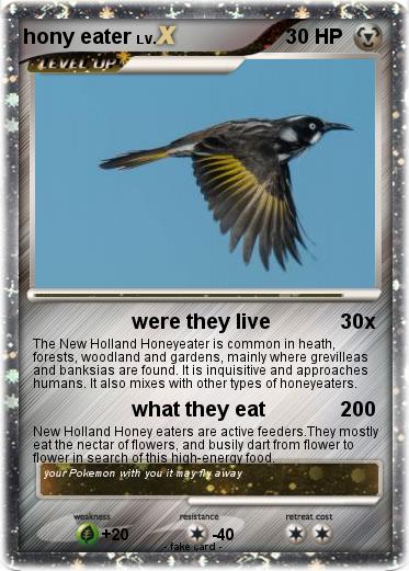 Pokemon hony eater