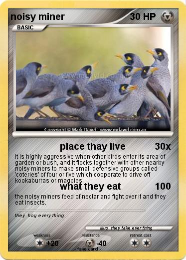 Pokemon noisy miner