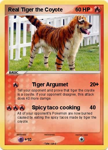 Pokemon Real Tiger the Coyote