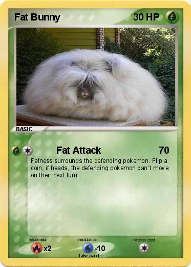 Pokemon Fat Bunny