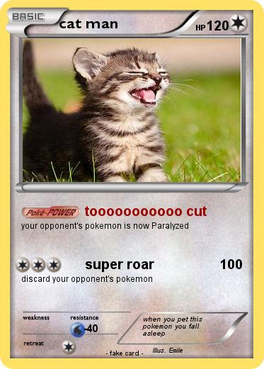 Pokemon cat man