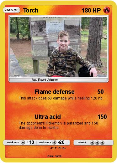 Pokemon Torch