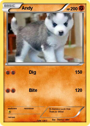 Pokemon Andy