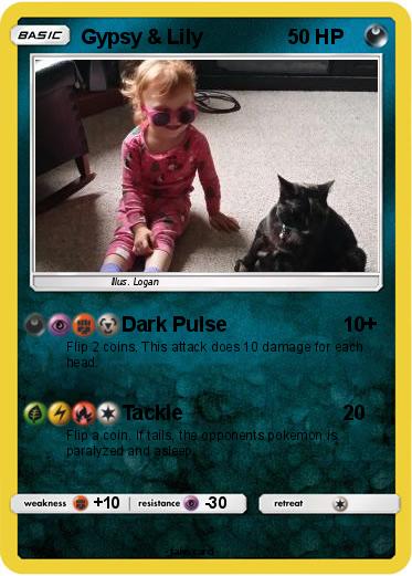 Pokemon Gypsy & Lily