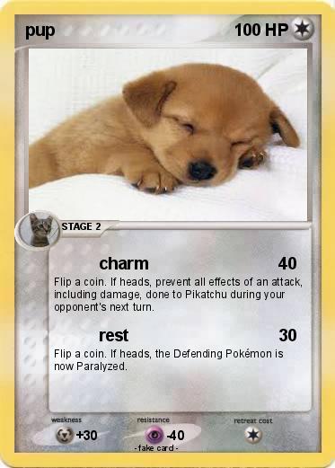 Pokemon pup