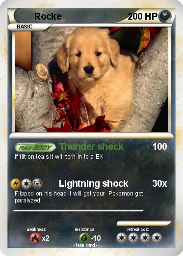 Pokemon Rocke