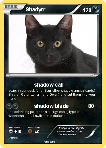 Pokemon Shadyrr