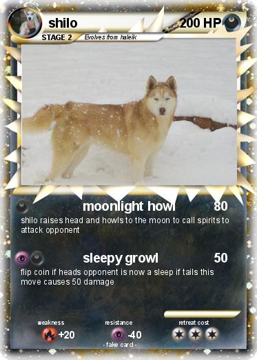 Pokemon shilo